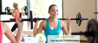 Beim Krafttraining vom „Gedächtnis“ der Muskeln profitieren